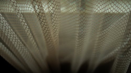 Free stock photo of curtain, drape, drapery
