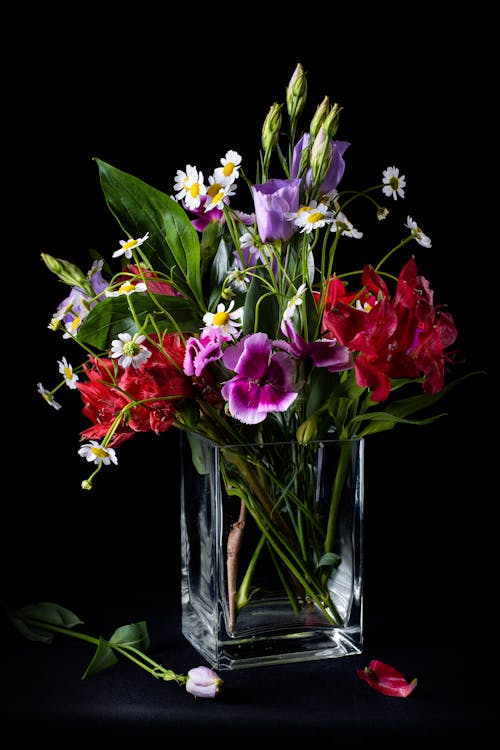 Free Colorful Flowers in Clear Glass Vase Stock Photo