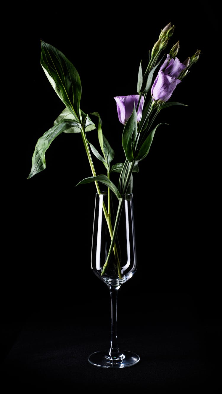 Purple Flowers In A Thin Champagne Glass 