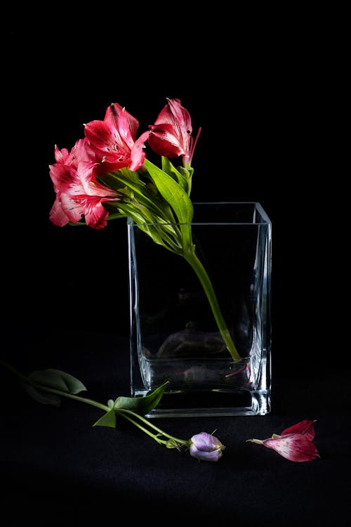 бесплатная Бесплатное стоковое фото с альстромерия, ваза, вертикальный выстрел Стоковое фото