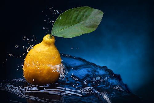 Kostnadsfri bild av blad, citron, citrus-