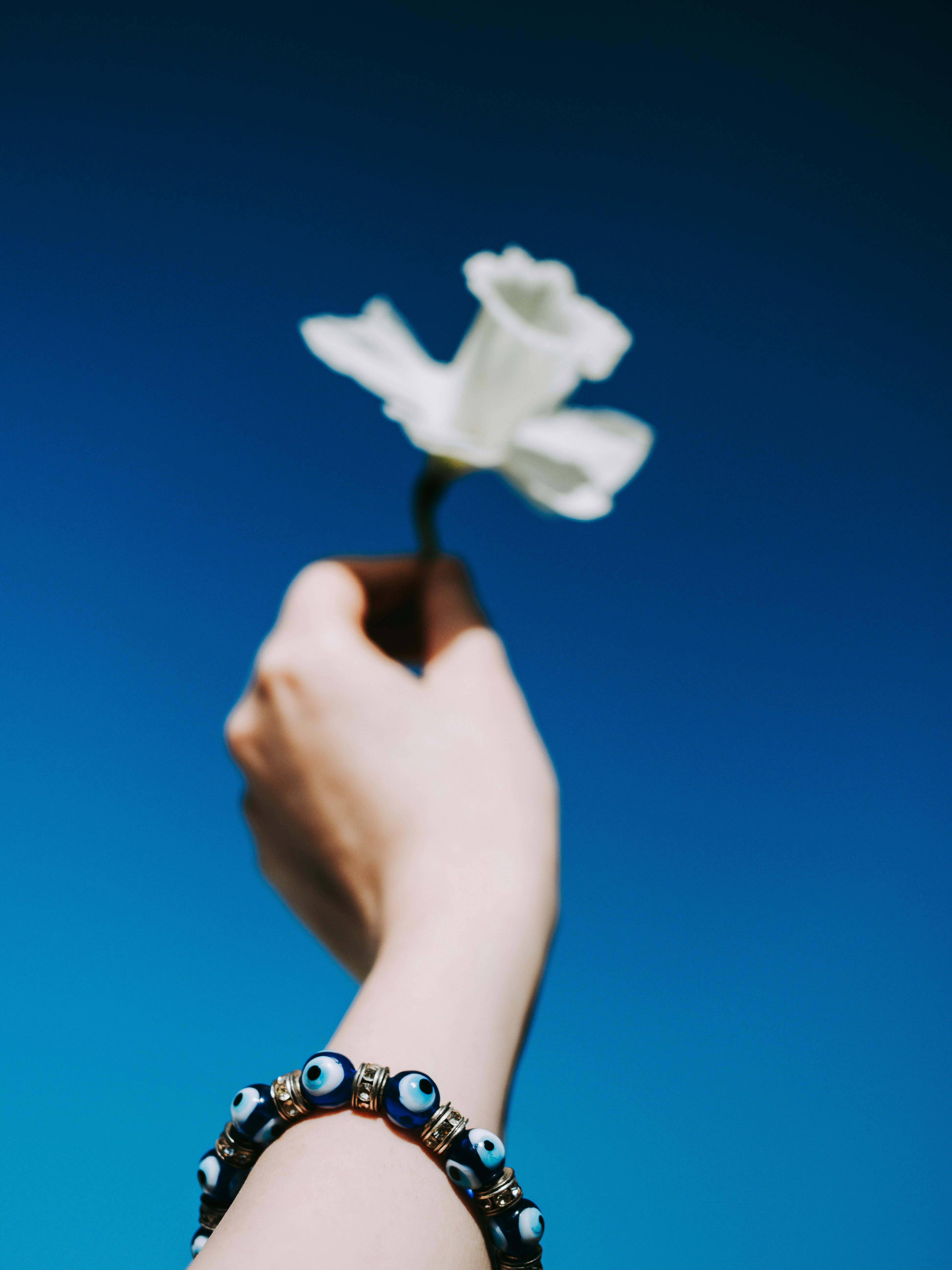 A hand holding a white flower with a bracelet against a vibrant blue sky.