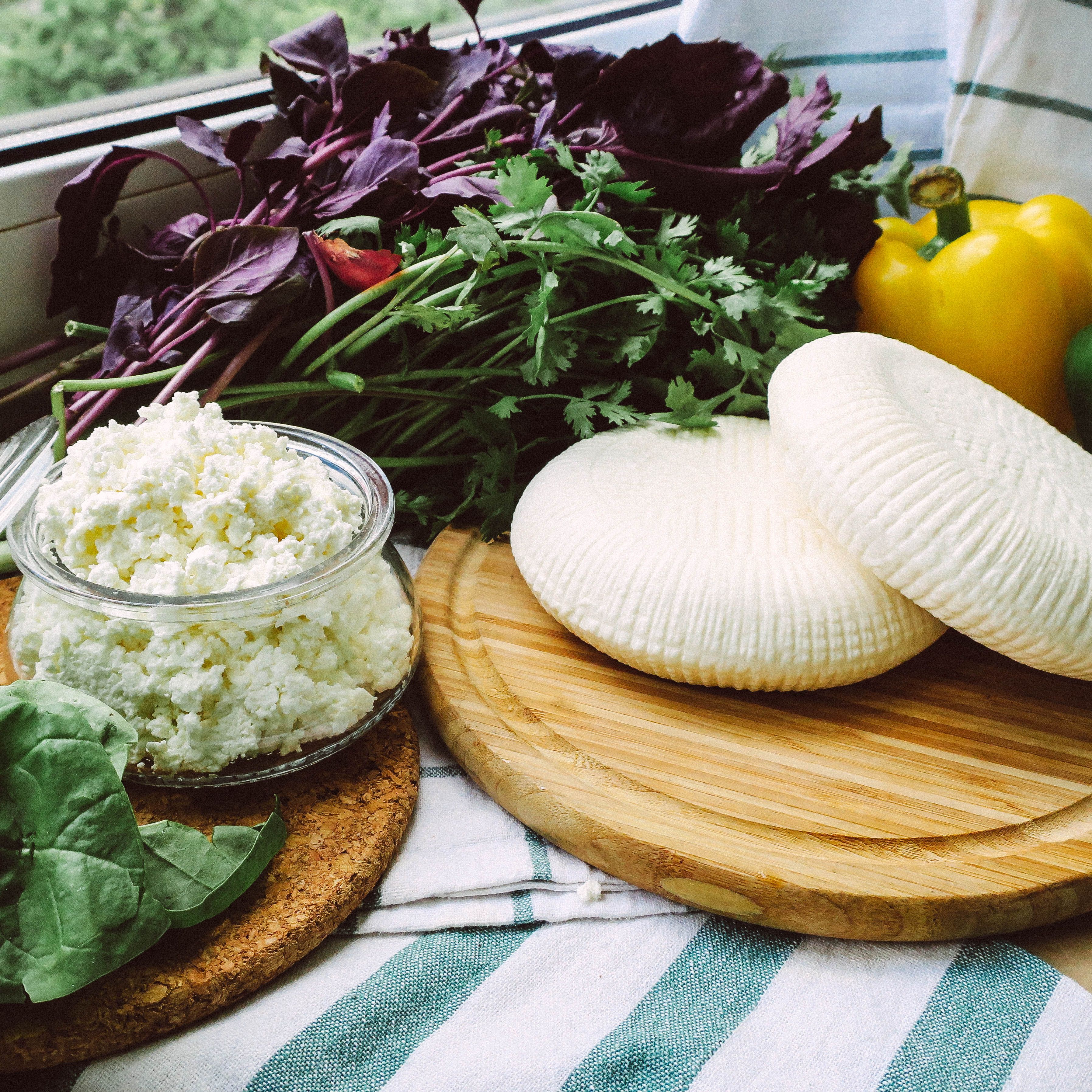 Kesong Puti Cheese Herb - Urban Goes Green Plant Guide