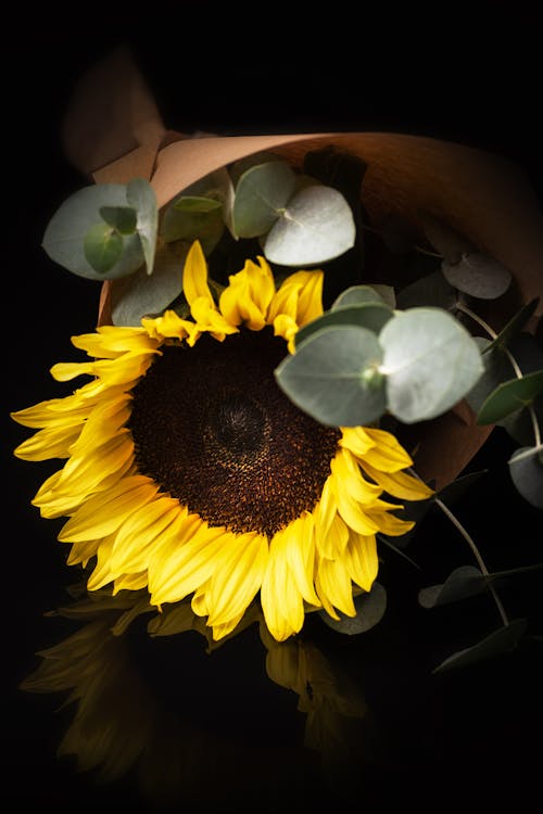 Sunflower Wrap in Brown Paper