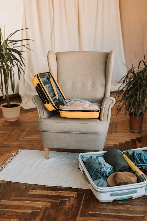 소파 의자, 수직 쐈어, 실내 화초의 무료 스톡 사진