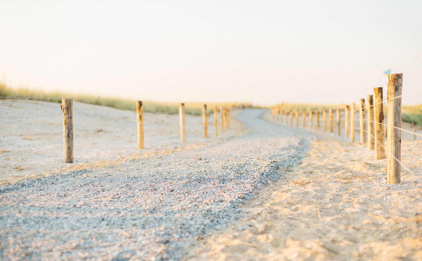 Gravel cycling path through the Texel dunes