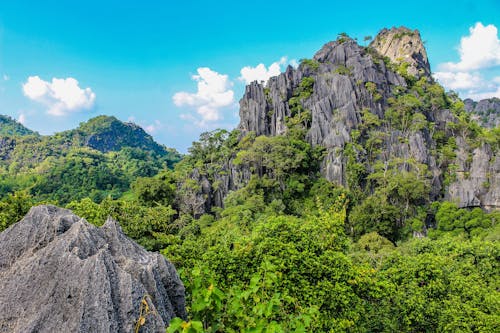 Imagine de stoc gratuită din arbori, aventură, călătorie