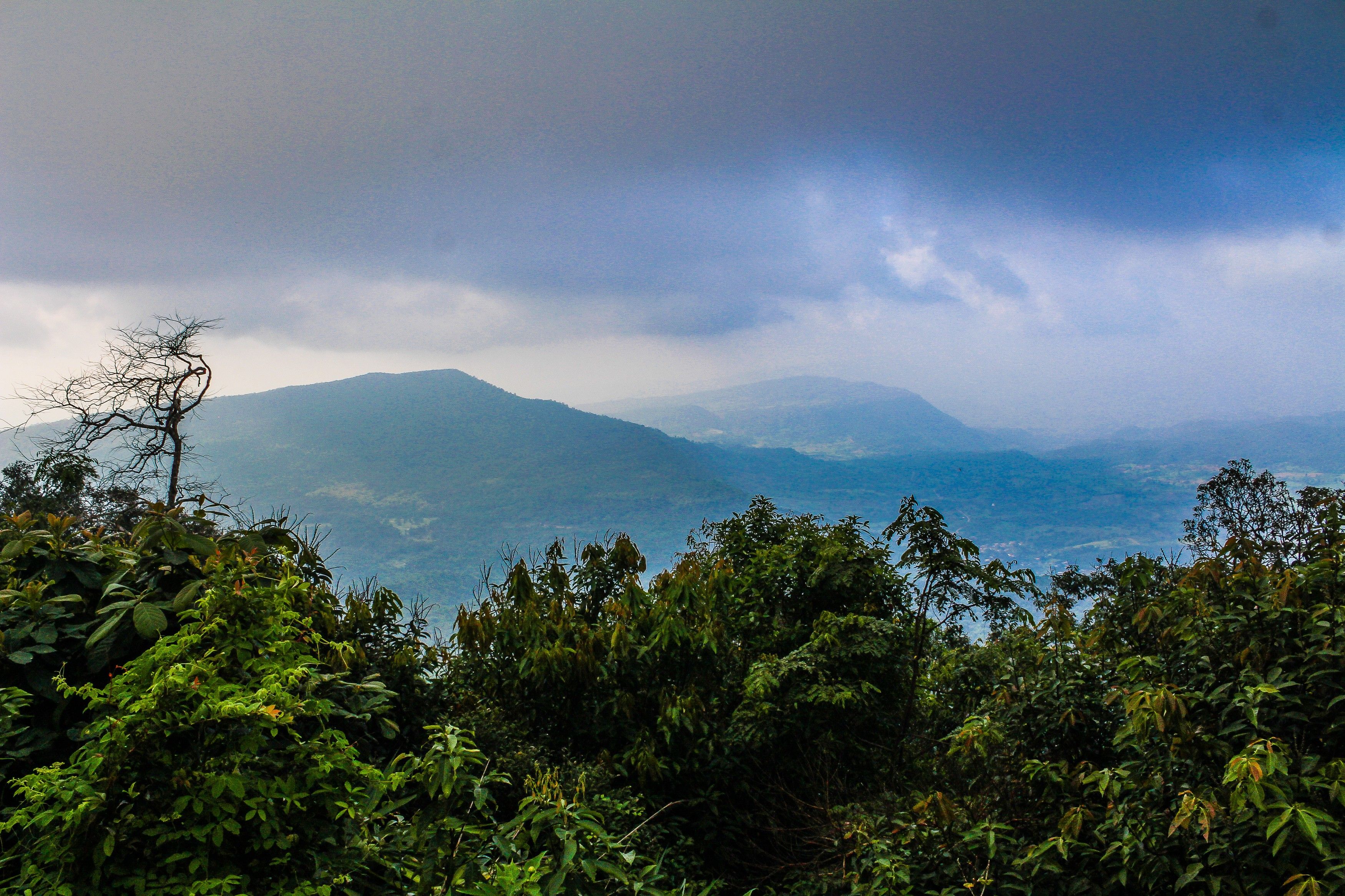 Fotografia de um campo de solo rico, simbolizando análise de solo e agricultura sustentável.