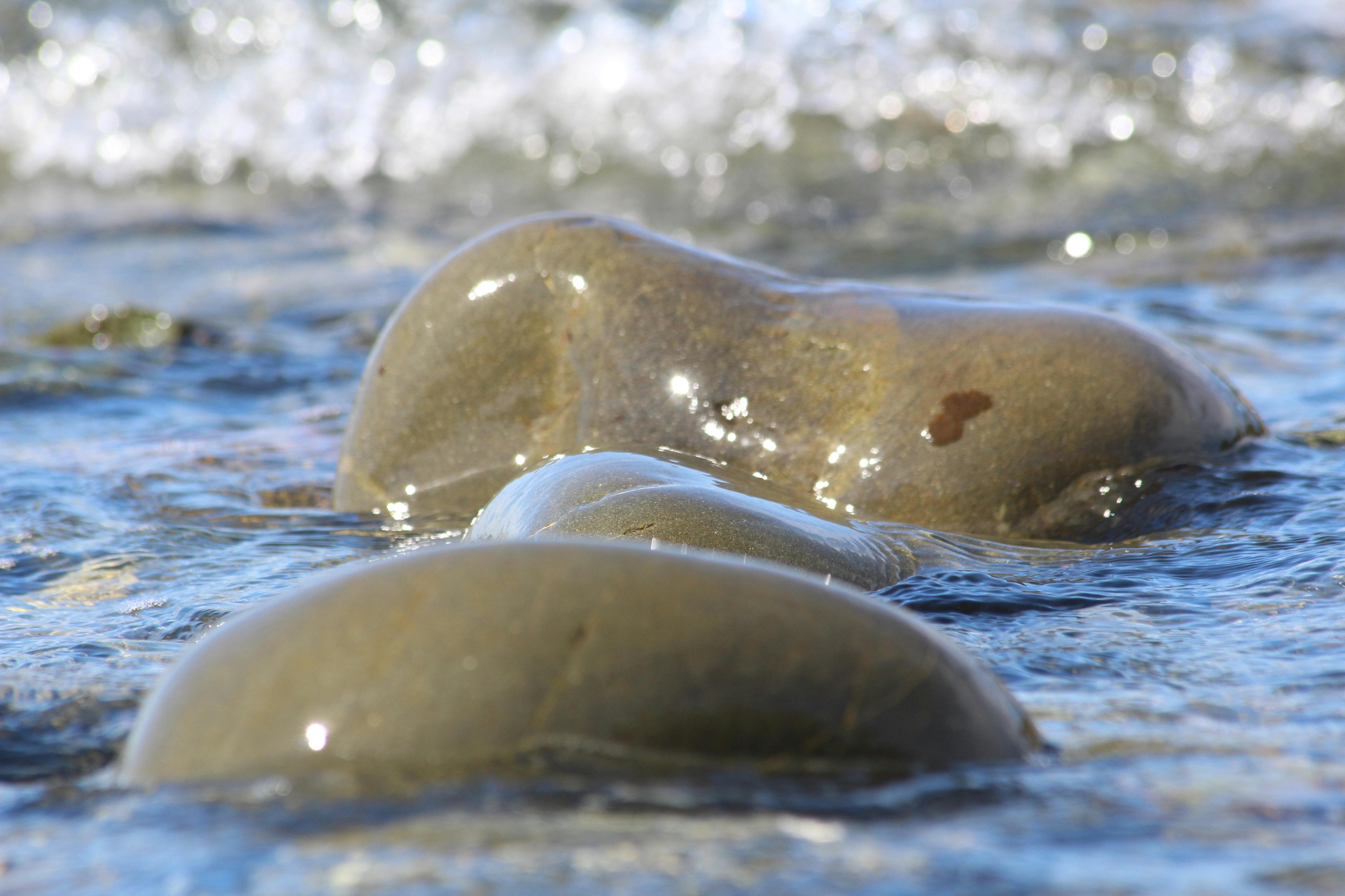 So sánh giá vé máy bay