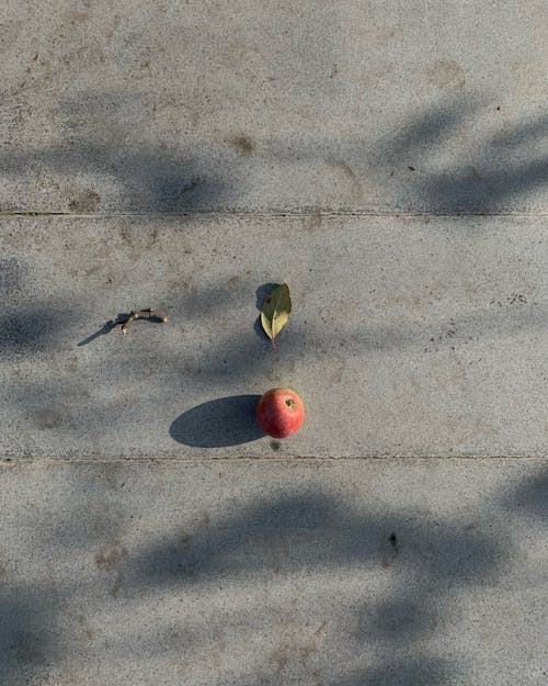 Imagine de stoc gratuită din apple, fotografiere verticală, fruct