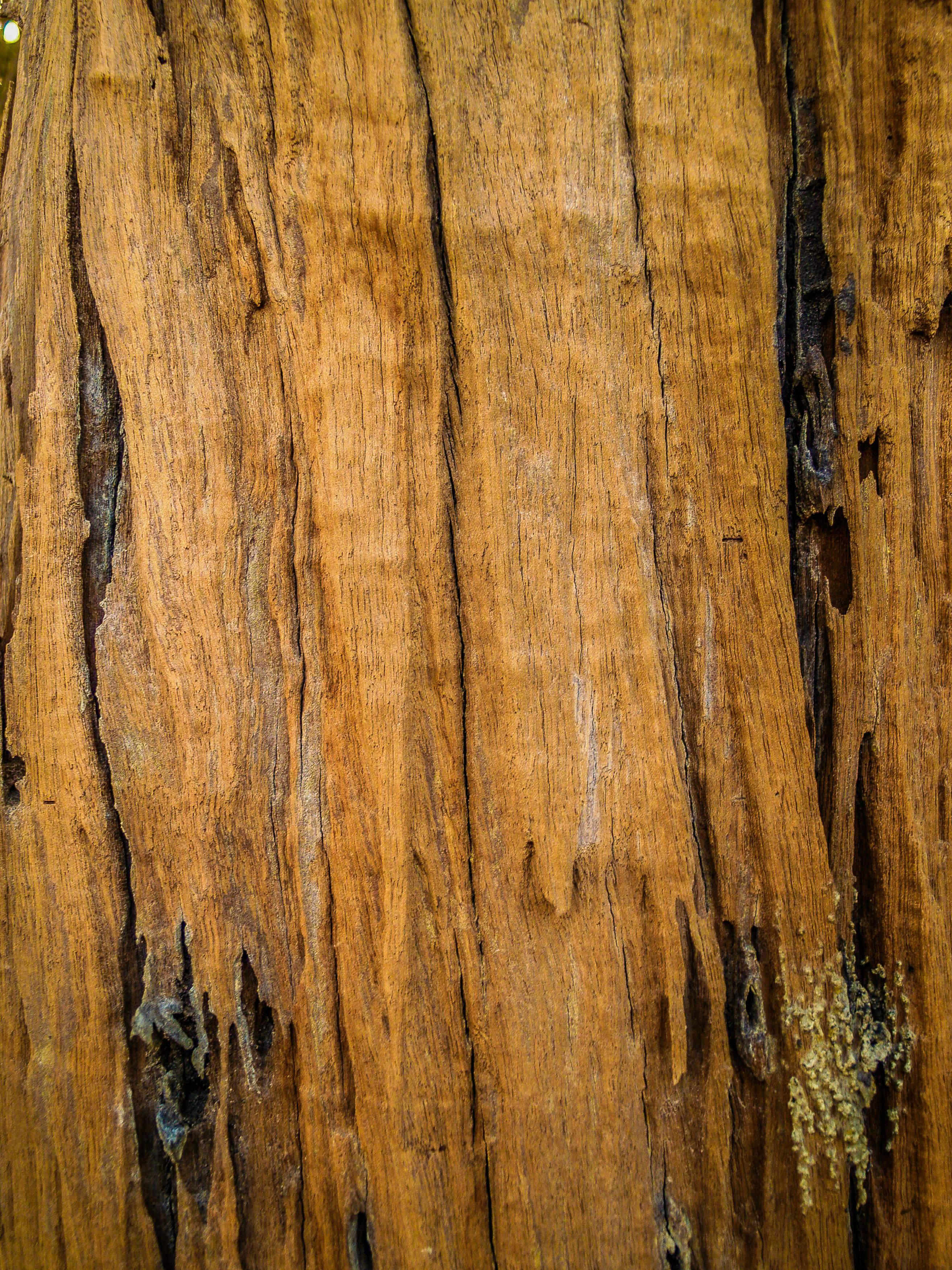 주식 시장 그래프와 투자자 이미지