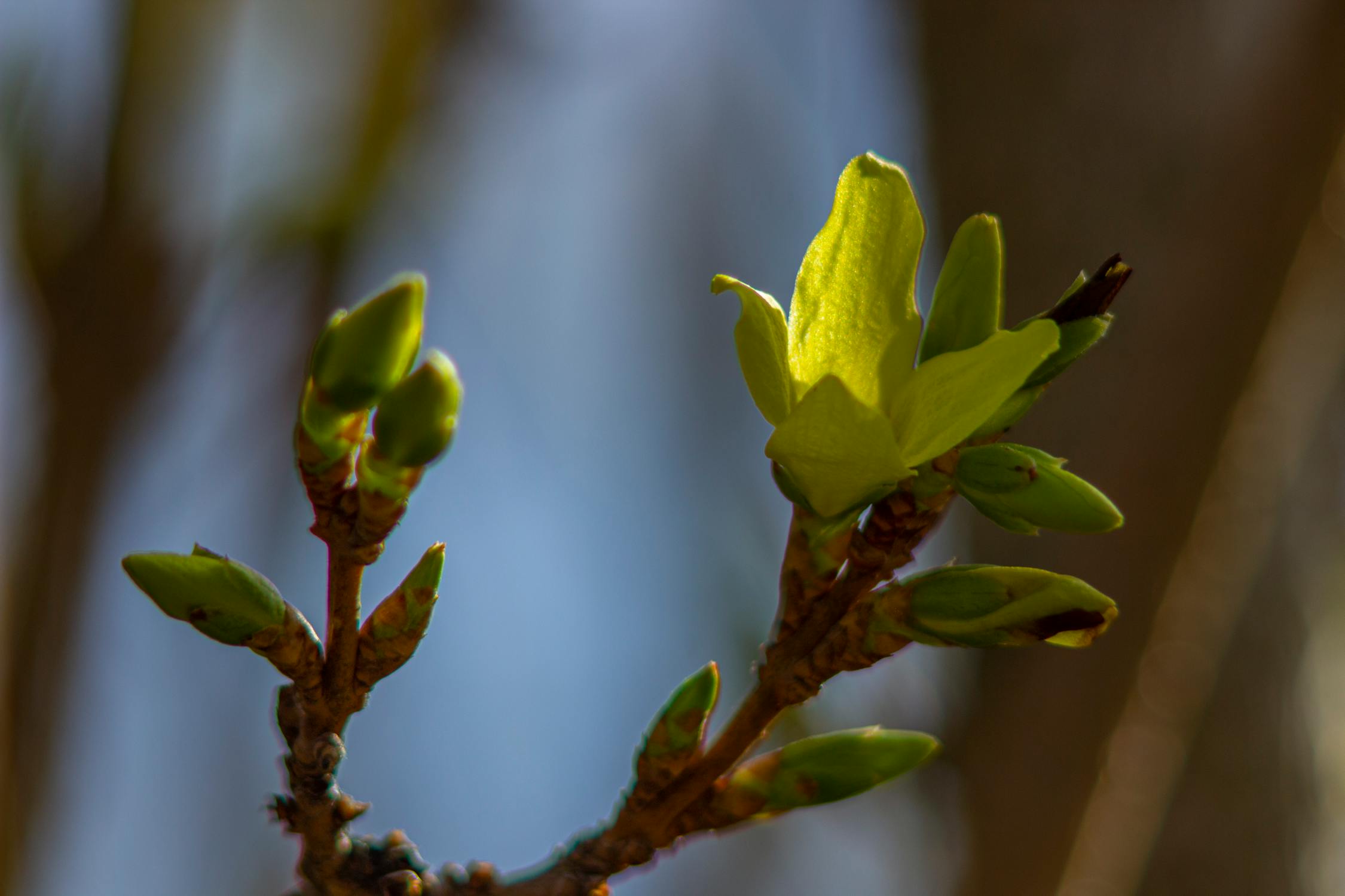 People collaborating on social media growth strategies