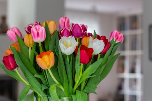 Colorful tulip bouquet in a bright indoor setting, showcasing a variety of vivid hues and soft lighting.