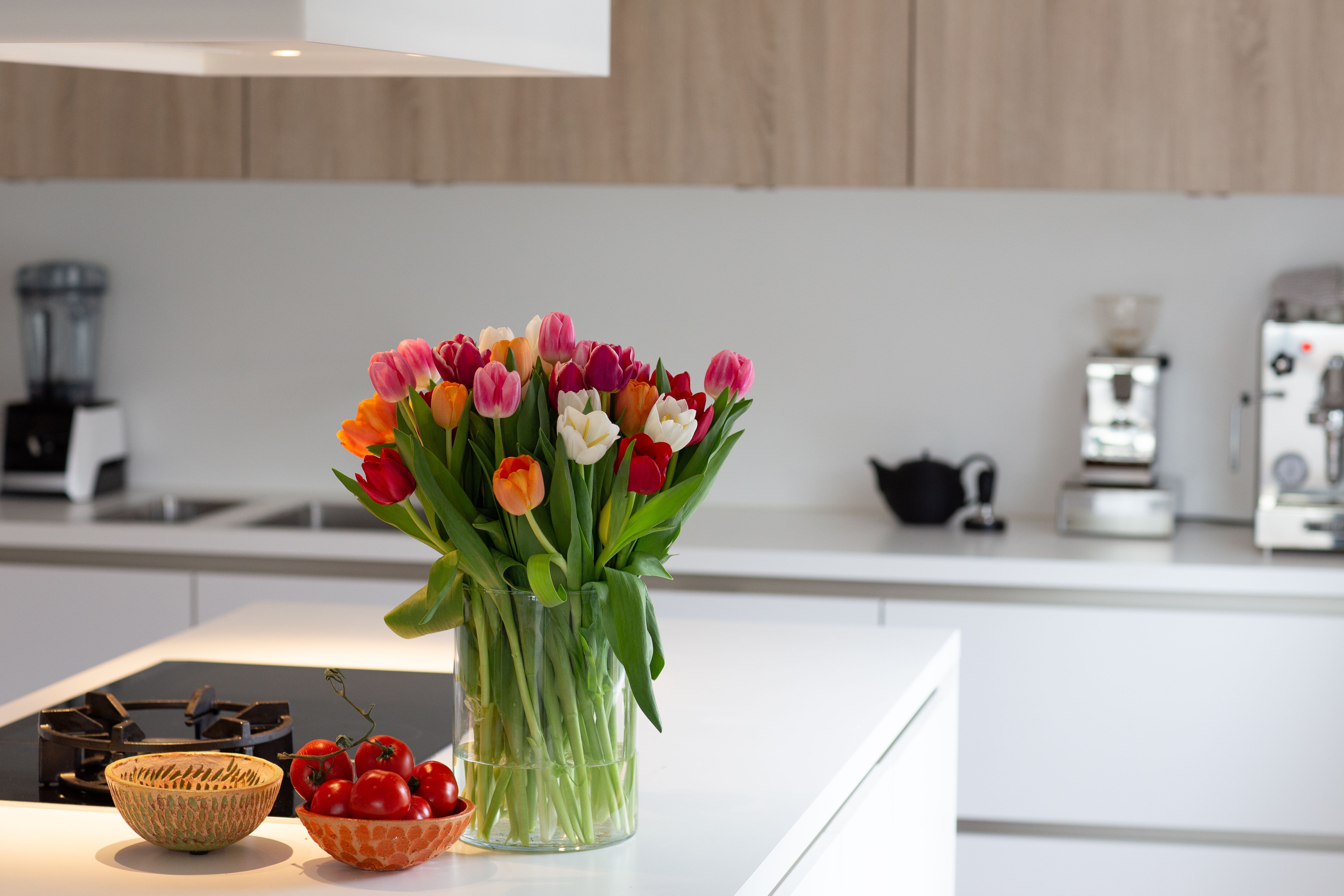 Unveiling the Gourmet Tulip Blender Features That Impress