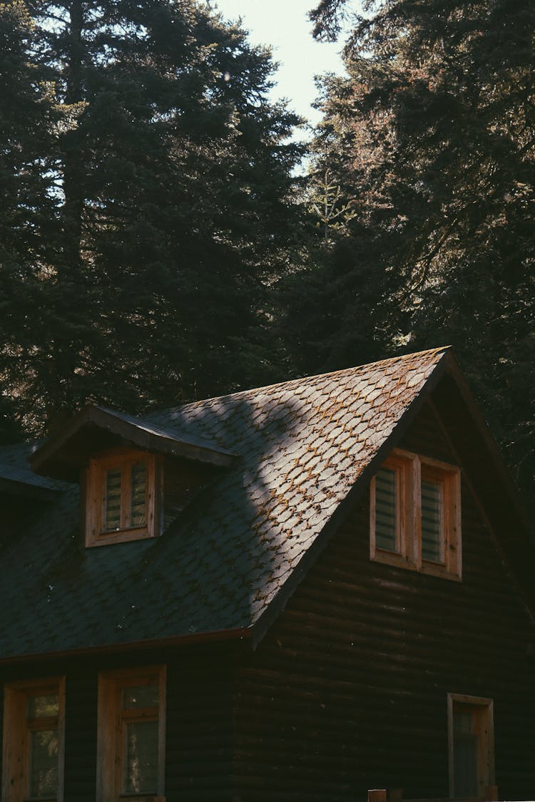 Facade Of Small Rural House In Forest Terrain