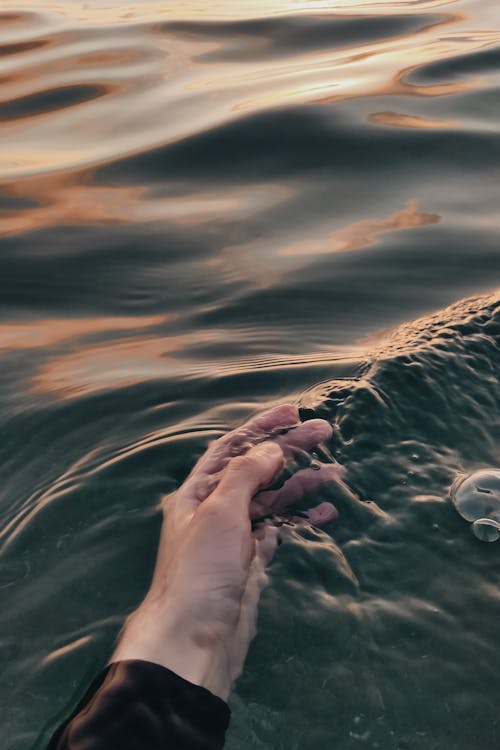 A Person's Hand in the Water