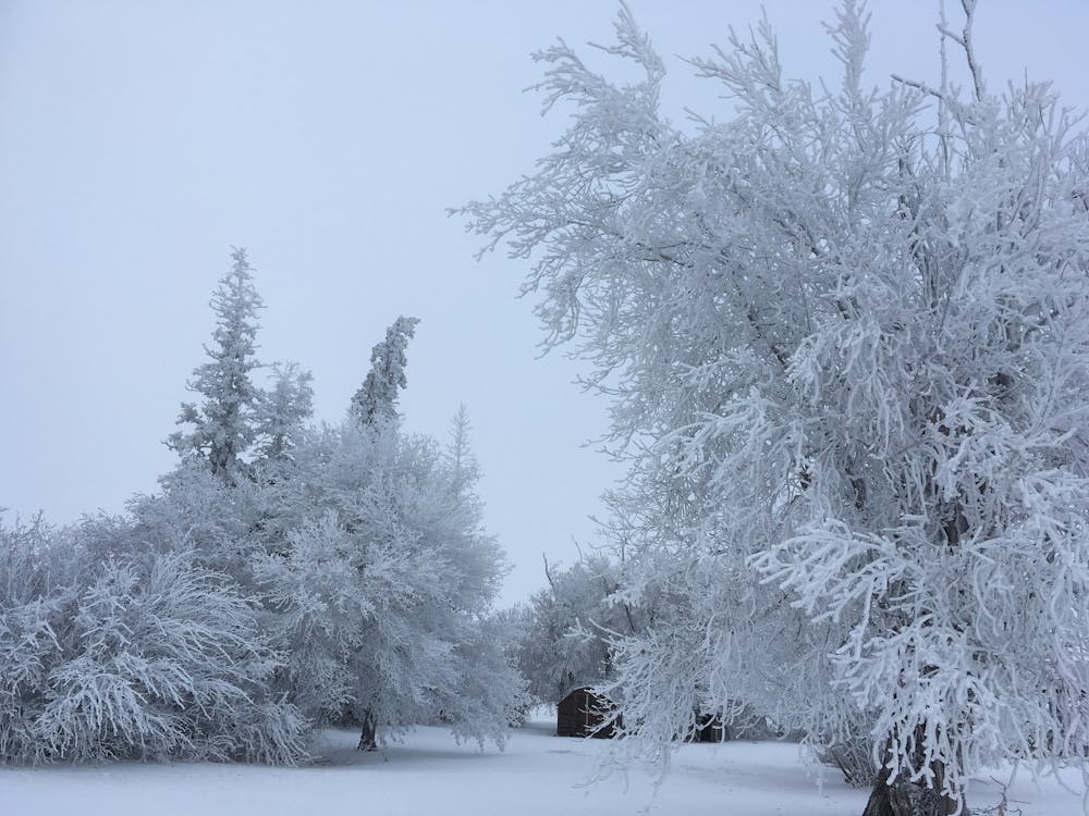 Photo Gratuite De Hiver Des Prairies Photo Gratuite De Hiver Des Prairies