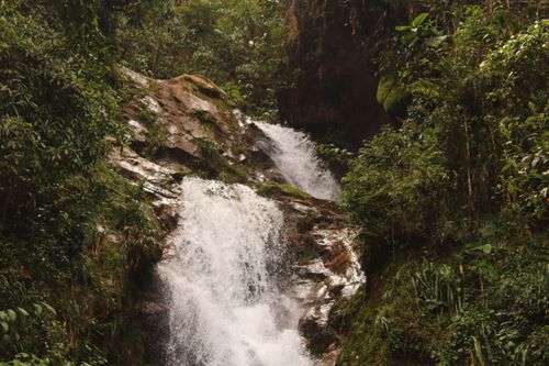 Free A serene waterfall flowing through lush Colombian jungle, showcasing natural beauty. Stock Photo