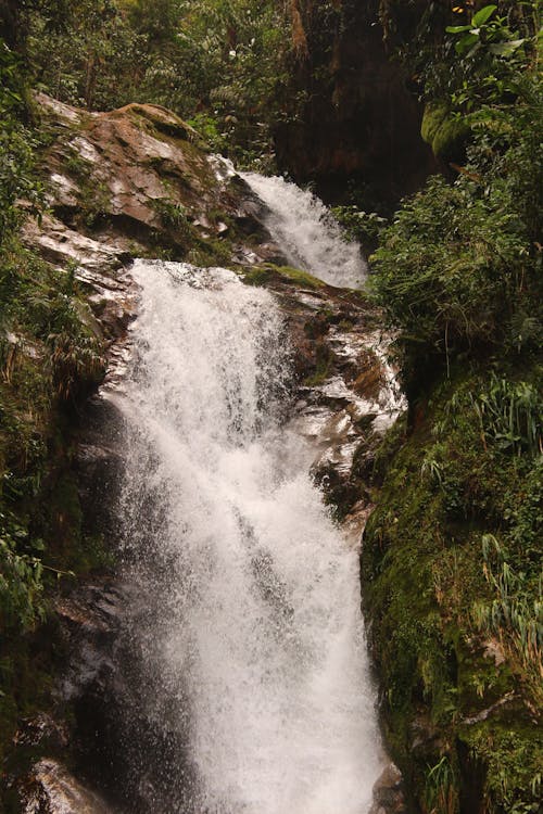 A Waterfalls Between Green Trees