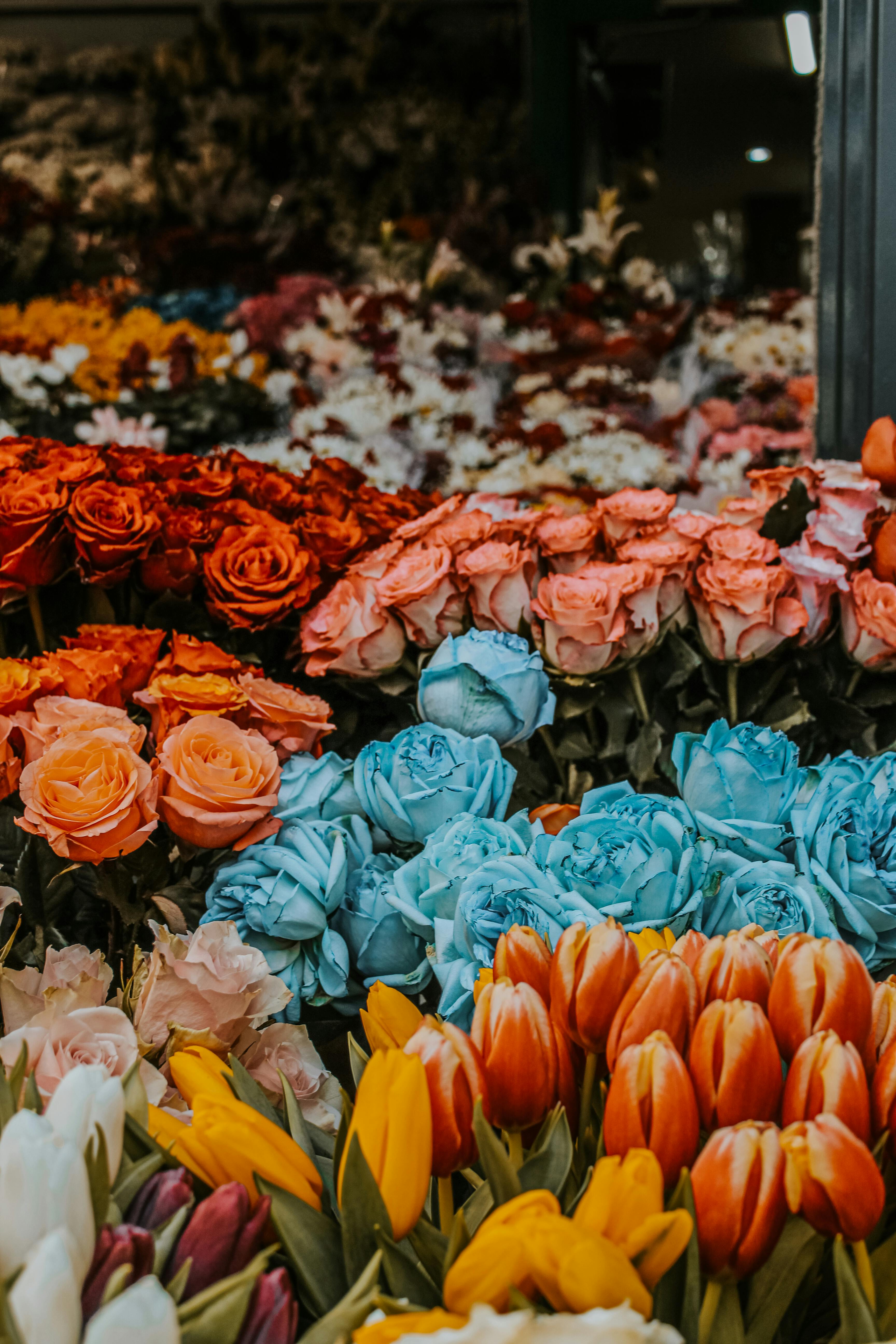 [ColoSach]-vivid-assortment-of-roses-and-tulips-in-a-vibrant-flower-market-in-ankara,-turkey.