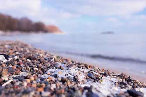 Foto profissional grátis de beira mar, costa rochosa, fechar-se