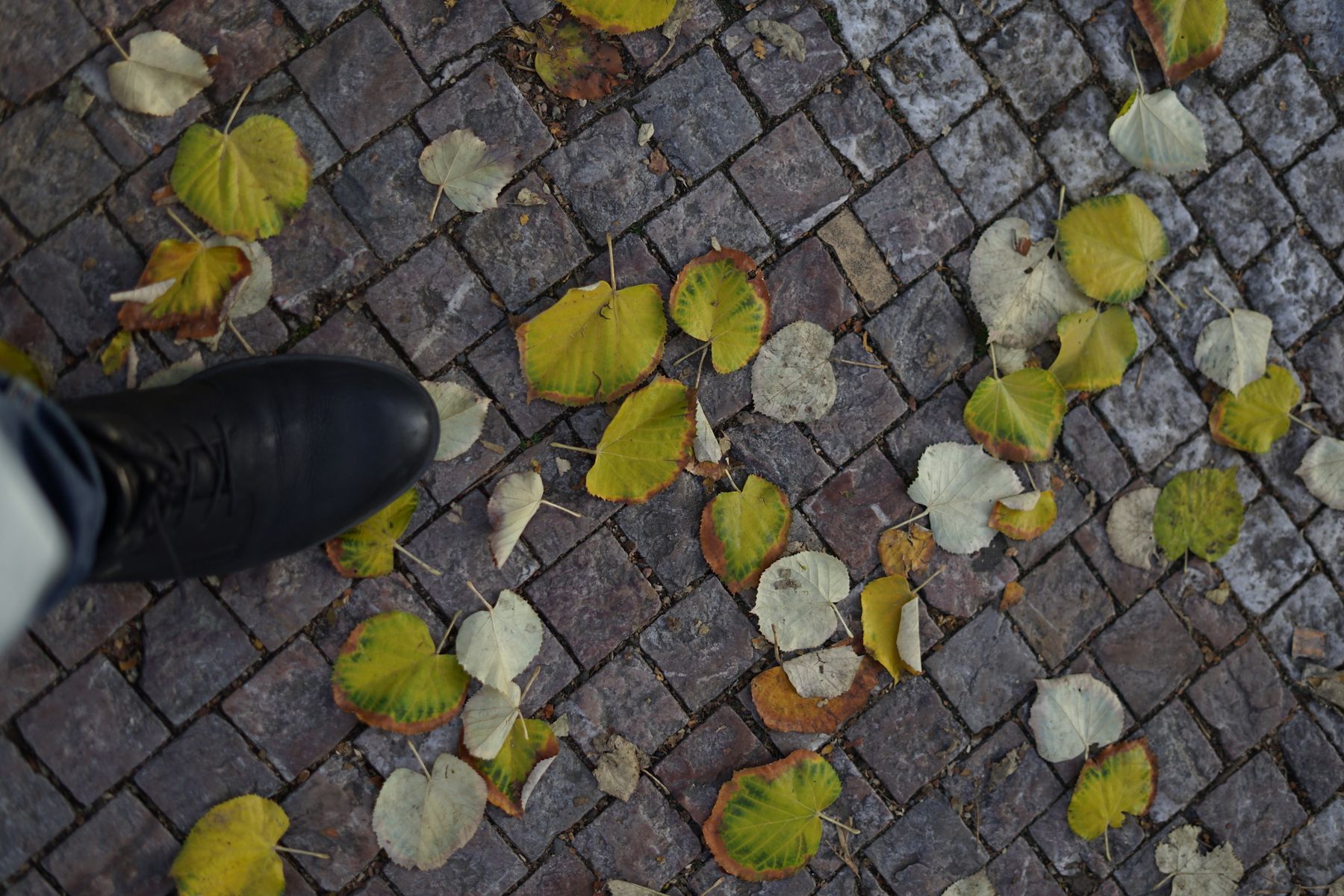 Windsor in Autumn: Castle Views and Riverside Strolls from a Reading Base