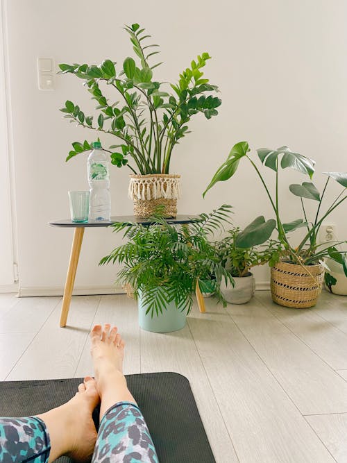 Crop unrecognizable barefoot female in leggings on yoga mat on laminated floor near potted green plants in light room