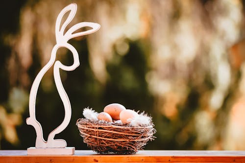 Brown Eggs on the Table