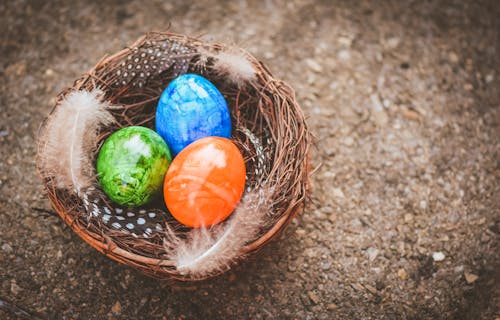 巢, 復活節, 概念的 的 免费素材图片