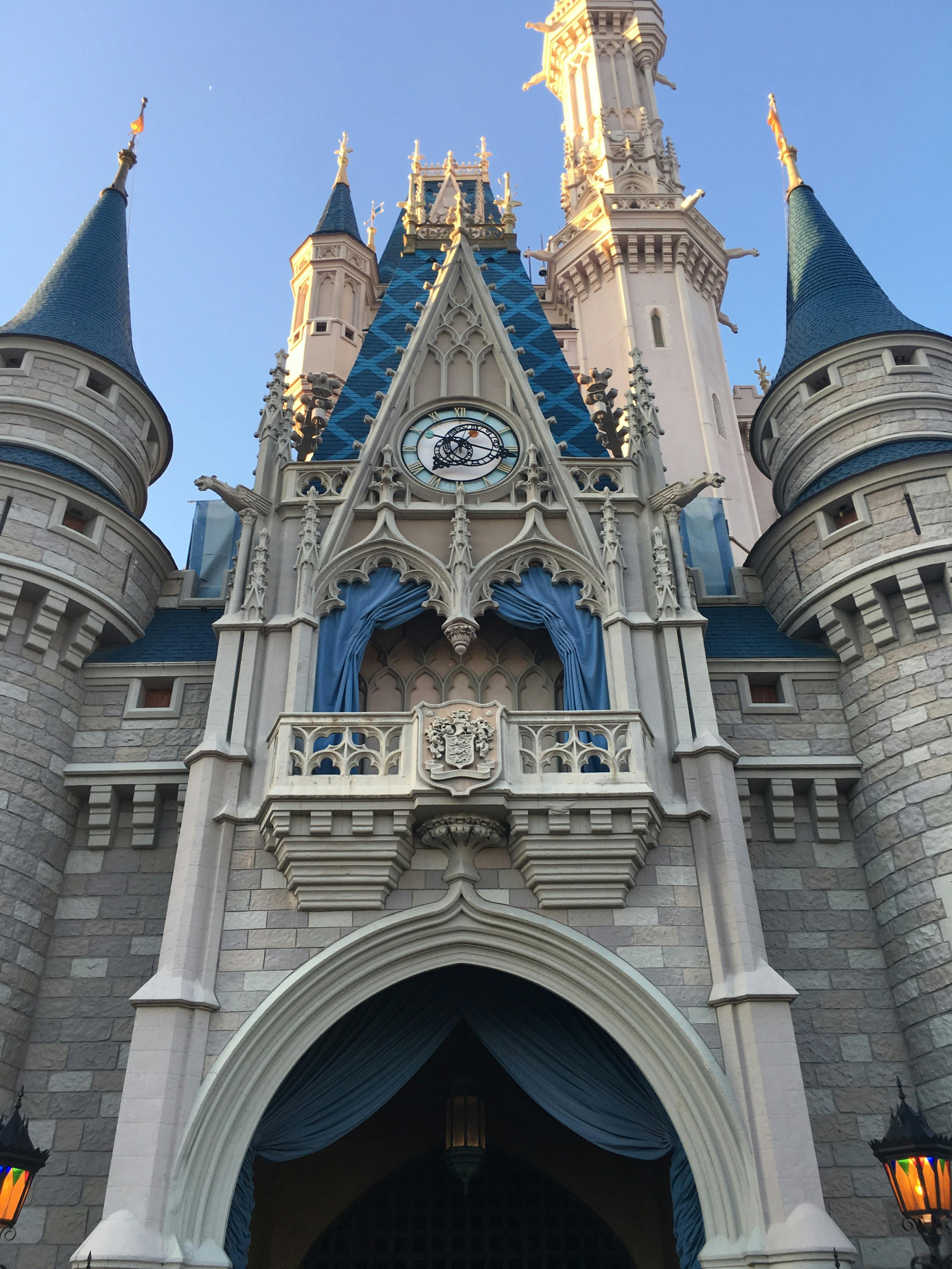 Free stock photo of key west, rooster