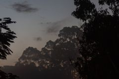 Tranquil scene of a crescent moon in the evening sky above silhouetted trees.