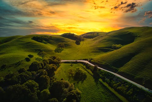 Free Countryside Road Between the Green Grassland During Sunset Stock Photo