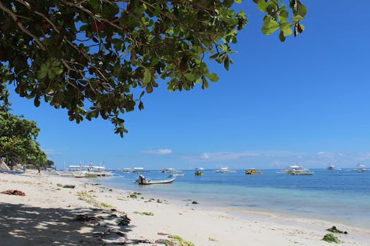Peaceful beach in Panglao, Bohol with boats and lush greenery under a sunny sky.