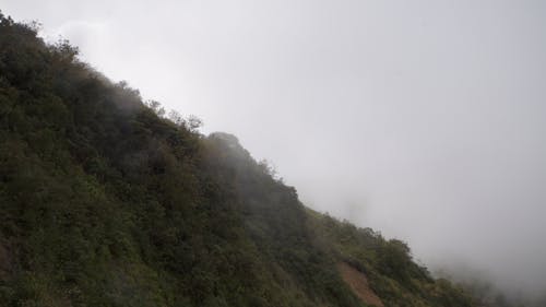 Ingyenes stockfotó andoki táj, hegy, köd témában