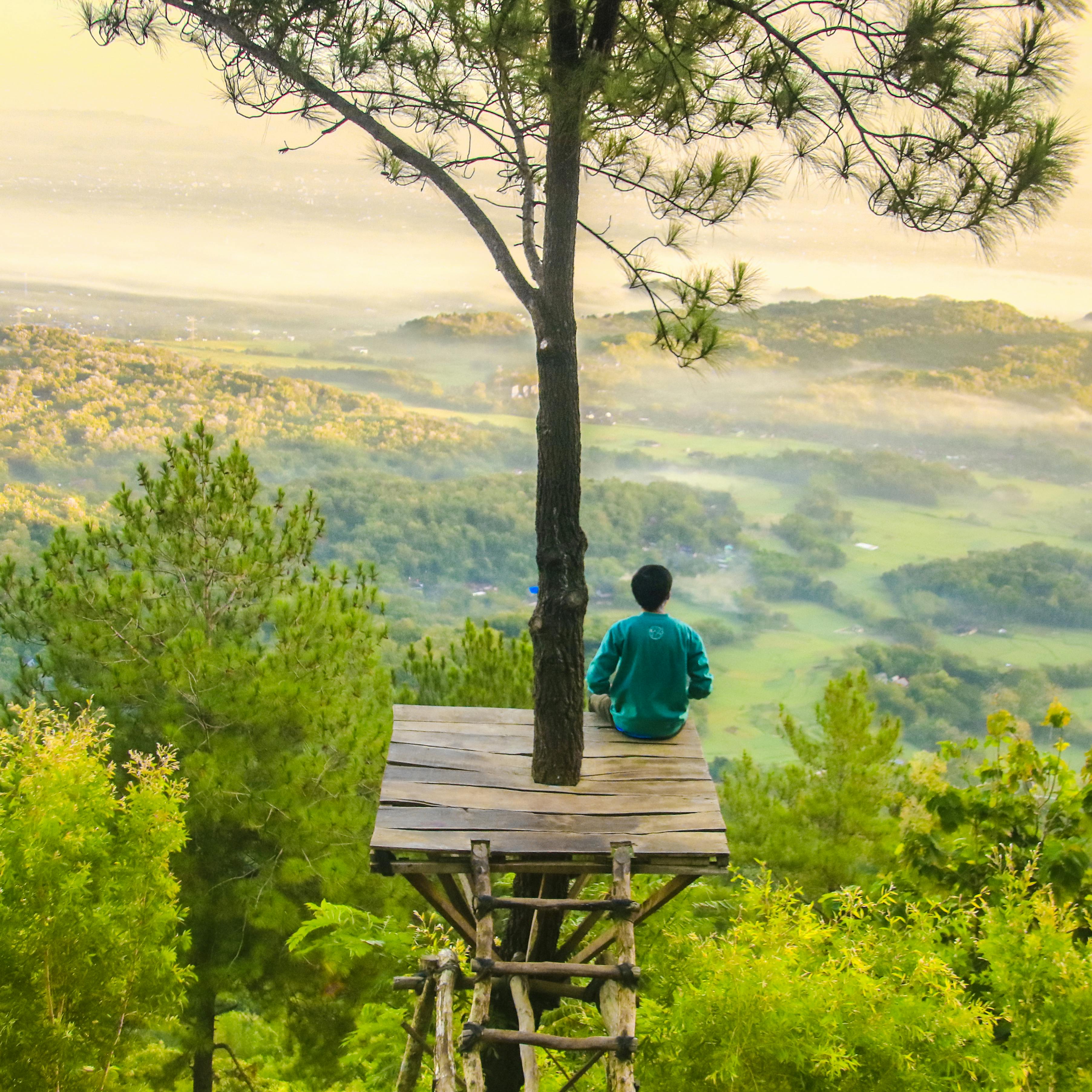 Photo Of A Man Sitting Under The Tree Free Stock Photo