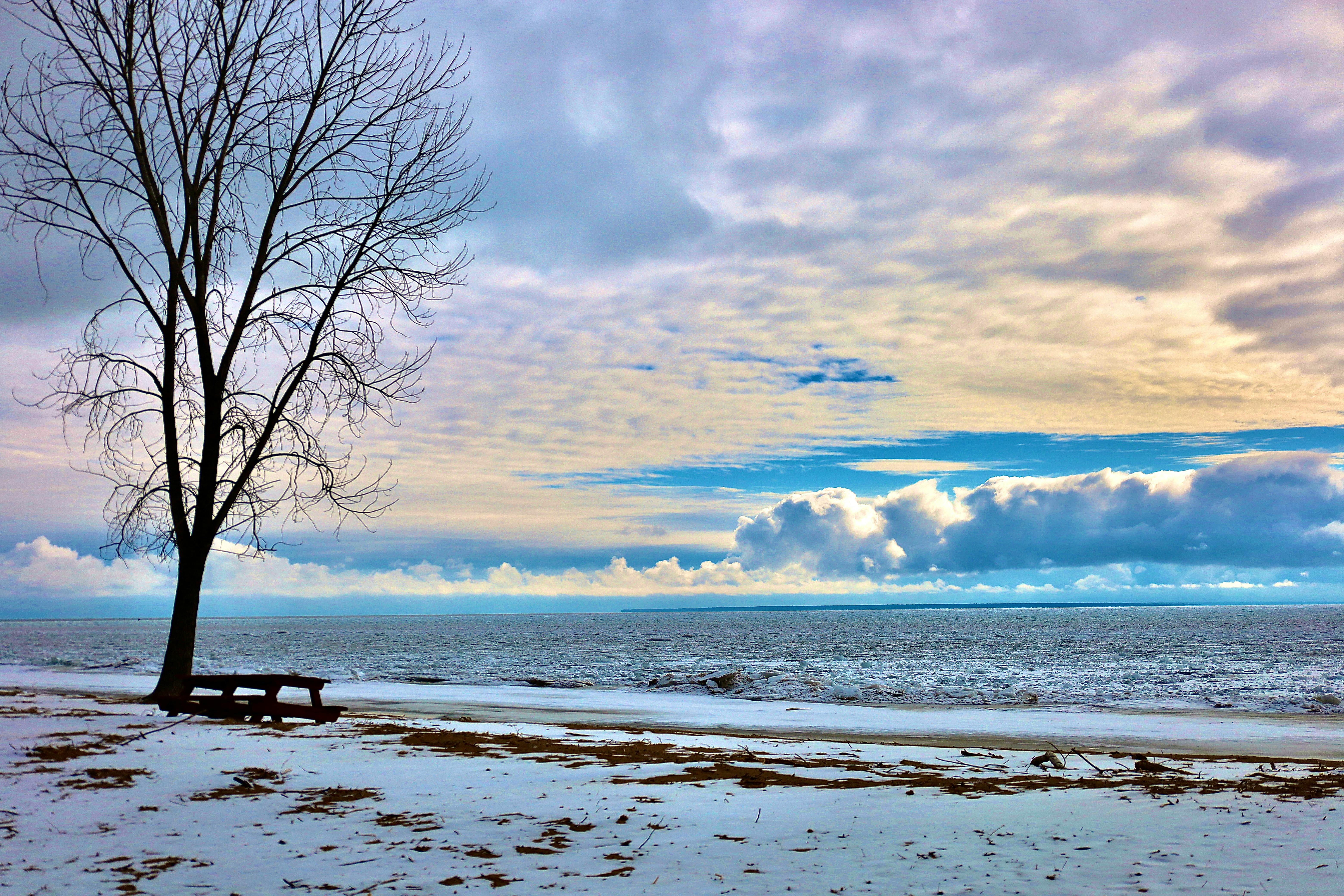 Persona trabajando con tecnología, simbolizando la integración de la IA en el entorno laboral