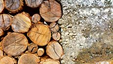 Photo of Brown Log and White Pebbles