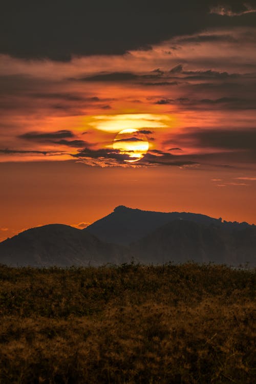 Fotos de stock gratuitas de amanecer, anochecer, campo