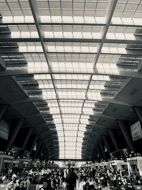 Black and White Image of a Station with Glass Ceiling