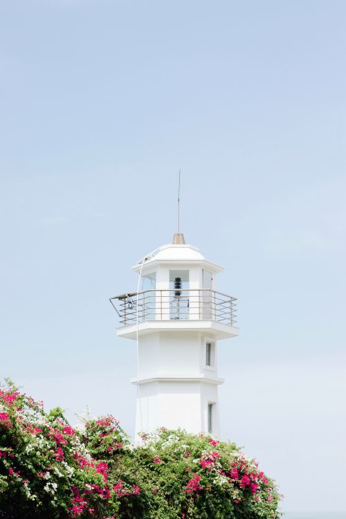 Free A beautiful white lighthouse surrounded by vibrant flowers under a clear blue sky. Stock Photo