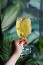 Person Holding Clear Drinking Glass With Yellow Liquid