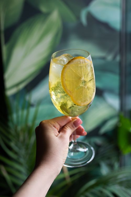 Free A hand holding a refreshing lemon cocktail with ice against a leafy background. Stock Photo