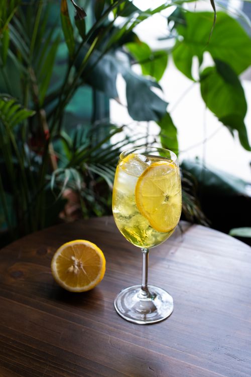 Free Refreshing citrus cocktail with lemon slices on a wooden table in a leafy setting. Stock Photo