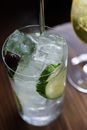 Clear Drinking Glass With Ice Cubes and Sliced Lemon