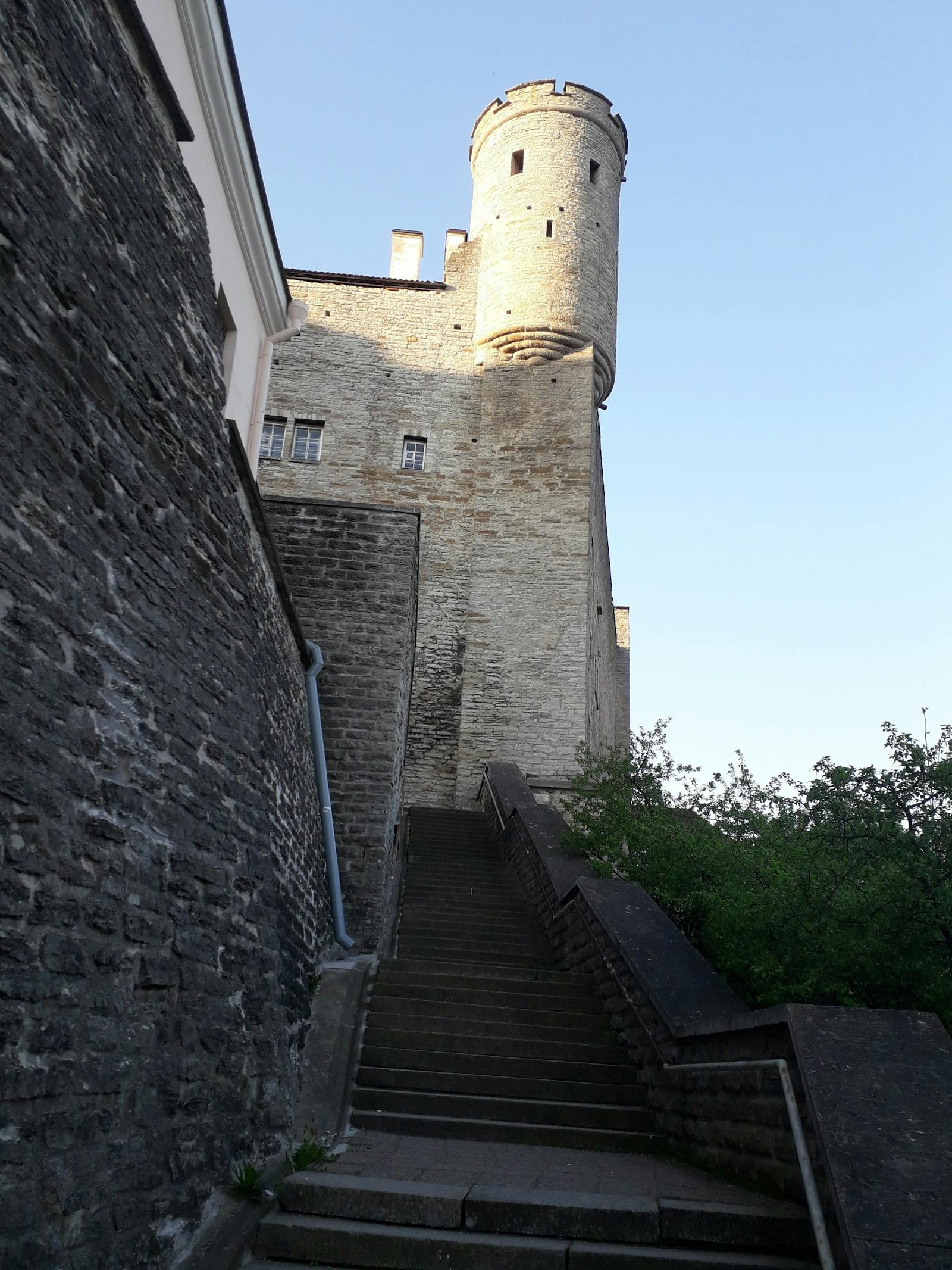 Gallery image 5