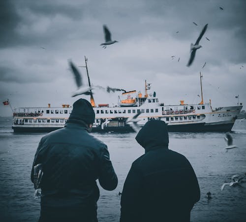 Základová fotografie zdarma na téma cestování, létání, moře