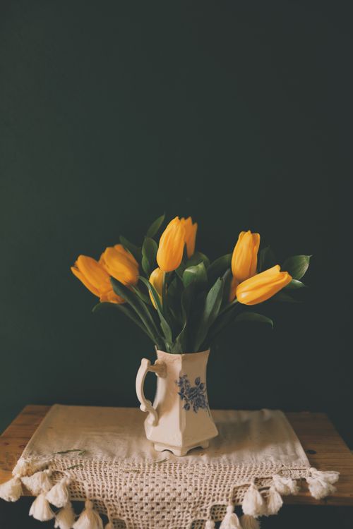 Free A classic still life showcasing vibrant yellow tulips in a vintage vase on a crochet-covered table. Stock Photo