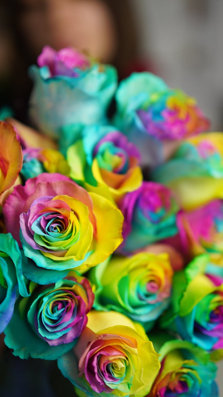 Bouquet Of Rainbow Roses In Room