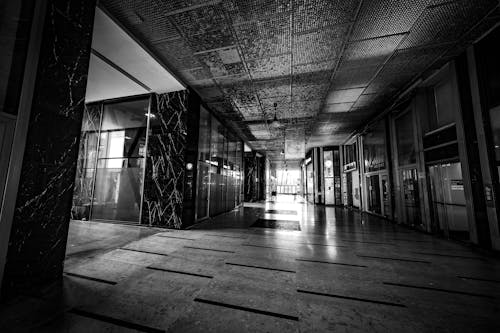 Black and white interior of spacious empty passage of building with glass doors and filing tiled walls