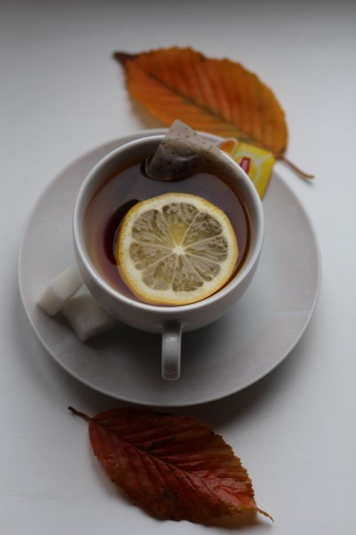 Free Cup of tea with lemon slice and sugar cubes on a white saucer, evoking autumn warmth. Stock Photo